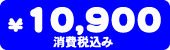 10,900�~�i����ō��݁j