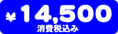 ���i�@14,500�~�i����ō��݁j