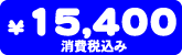 ���i�@15,400�~�i����ō��݁j