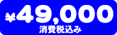 ���i�@49,000�~�i����ō��݁j